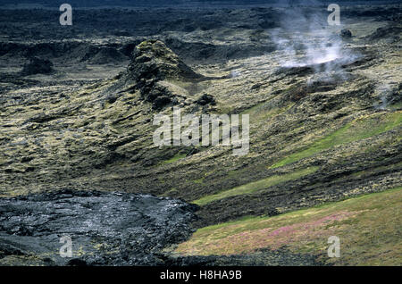 Campo di lava nella zona di Krafla, Myvatn, Islanda, Europa Foto Stock