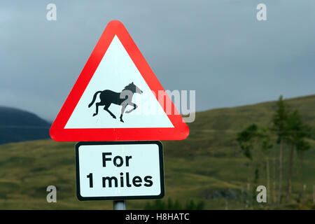 Rosso triangolare e strada bianca segno cavalli di avvertimento per uno miglia Foto Stock