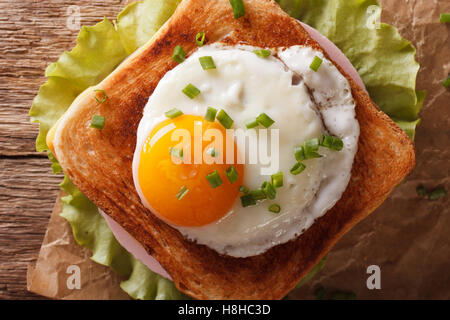 Sandwich con uovo fritto, prosciutto, cipolle e formaggio vicino. vista orizzontale dal di sopra Foto Stock