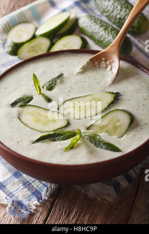 Fredda zuppa di cetriolo con la menta e lo yogurt in una ciotola di close-up. In verticale Foto Stock