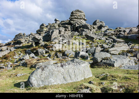 Il granito sperone di roccia sul Hound Tor, Parco Nazionale di Dartmoor. Devon, Regno Unito Foto Stock