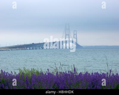 Vista del ponte Mackinac sotto nuvole basse da Mackinaw City, Michigan Foto Stock