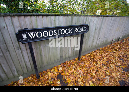 Woodstock strada segno circondato da foglie di autunno a Summertown, North Oxford, Oxfordshire, Regno Unito Foto Stock