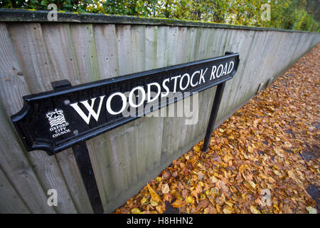 Woodstock strada segno circondato da foglie di autunno a Summertown, North Oxford, Oxfordshire, Regno Unito Foto Stock