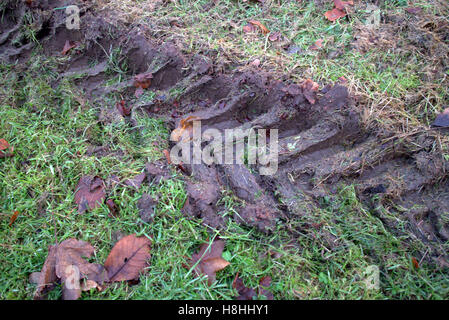 Il pneumatico del trattore le vie di fango con erba verde Foto Stock