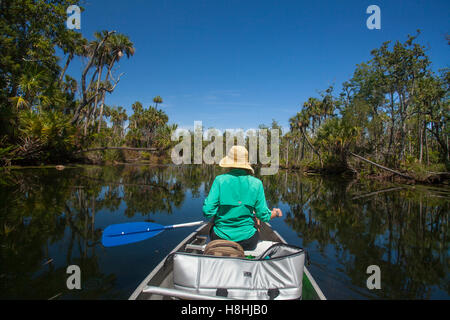 Canoa, Chassahowitzka National Wildlife Refuge, Florida, Stati Uniti d'America. Modello di Rilascio disponibili. Foto Stock