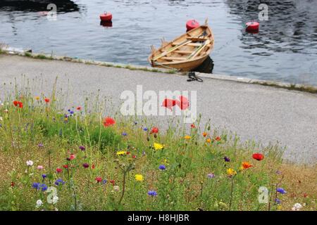 Vecchia barca di legno e fiori nel porto orientale di Kristiansand, Norvegia del sud, l'Europa. Foto Stock