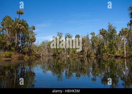 CHASSAHOWITZKA National Wildlife Refuge, Florida, Stati Uniti d'America. Foto Stock