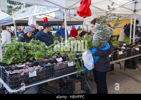 La gente acquista in autunno Meteo su una mattina di sabato presso la Grand Army Plaza Farmers Market di Brooklyn, New York. Foto Stock