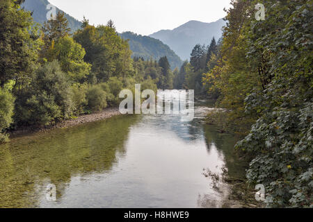 Sava Bohinjka fiume con acqua pulita in di Bled e sulle Alpi Giulie, Slovenia Foto Stock