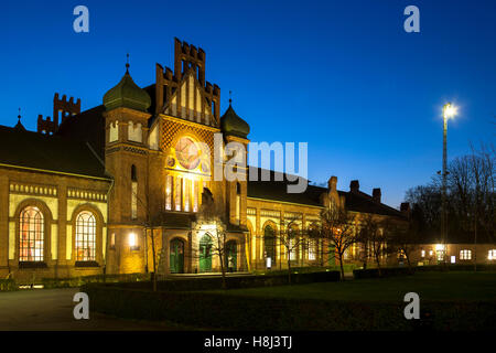 Germania, la zona della Ruhr, Dortmund, Vestfalia museo industria Zeche Zollern II/IV nel quartiere Boevinghausen Foto Stock