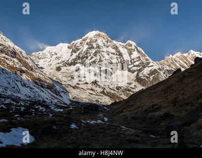 Annapurna sud dal circuito ABC Foto Stock