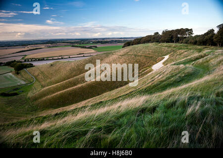 Il Cherhill White Horse da Oldbury Iron Age Fort hill nel Wiltshire, Regno Unito Foto Stock