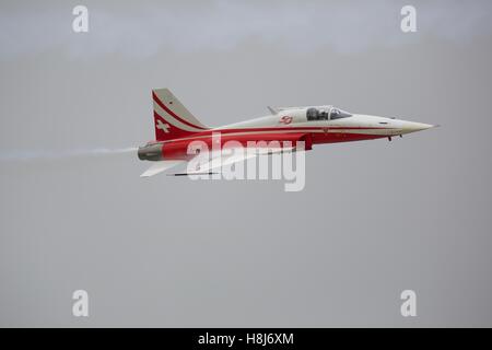 Patrouille Suisse Northrop F-5E Tiger ll Foto Stock