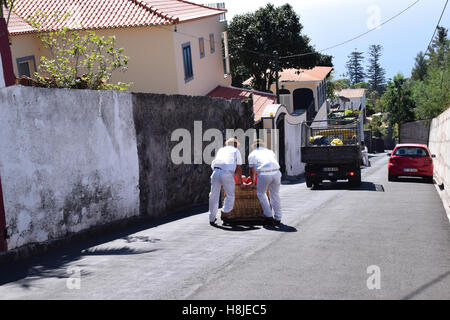 I turisti in viaggio verso il basso il cestello slittino ride, di Madera Foto Stock