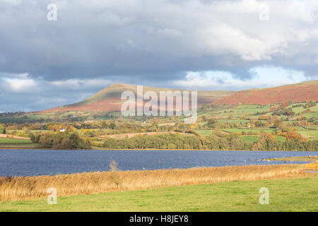 Lago Llangorse, 'Llyn Syfaddon' e Mynydd Llangorse montagna, Parco Nazionale di Brecon Beacons, Wales, Regno Unito Foto Stock