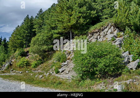 Verde bosco sulla collina rocciosa e la strada nei pressi di hija o rest-house Aleko in montagna Vitosha, Bulgaria Foto Stock