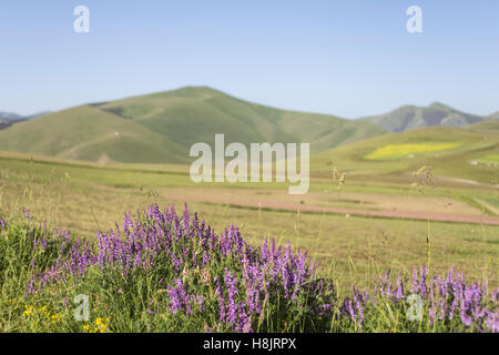 Il pianoforte Grande nei Monti Sibillini, Umbria. Foto Stock