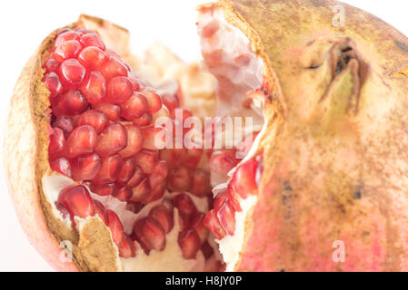 Melograno (Punica granatum) su sfondo bianco Foto Stock