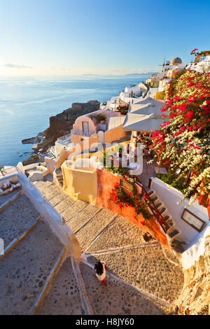 Vista del villaggio di Oia sull isola di Santorini in Grecia. Foto Stock