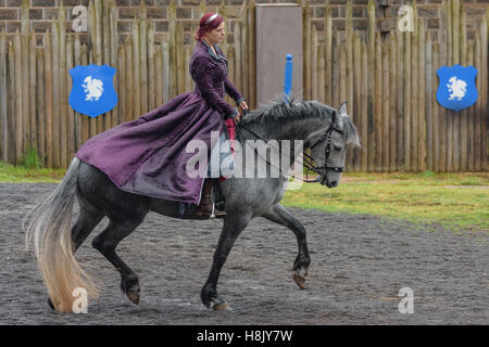 Cavallo Barocco Festival 2016, Grigio Warlander Mare con il Barocco vestito pilota femmina. Foto Stock