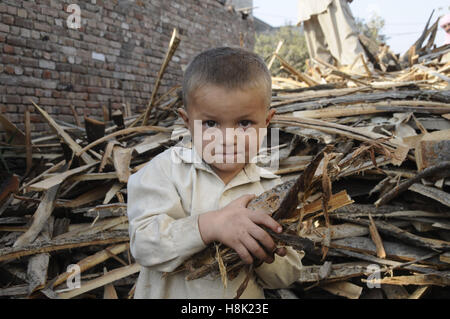 Il pakistan. Xiii Nov, 2016. Bambini afgani la ragazza con gli occhi blu raccogliere rami di alberi in legno tamber a Rawalpindi per utilizzare home combustibile dovuta a gas domestici alleggerimento del carico inizia in città.Sui Northern Gasdotti limitata (la distribuzione del gas company), intanto, ha richiesto il petrolio e risorse naturali ministero per consentire di ridurre il gas di alimentazione a tutti gli altri settori eccetto il domestico e commerciale per soddisfare la crescente domanda dei consumatori. © Zubair Ahmed/Pacific Press/Alamy Live News Foto Stock