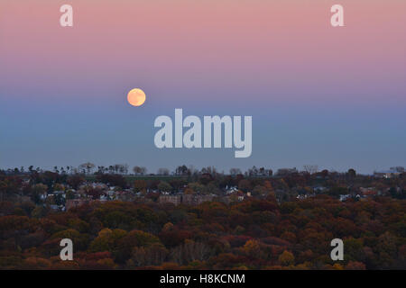 New York, Stati Uniti d'America. Xiii Nov, 2016. La più grande luna piena dal 1948 che è anche chiamato il Beaver Moon Rising nel Bronx, NY Credit: Rachel Cauvin/Alamy Live News Foto Stock