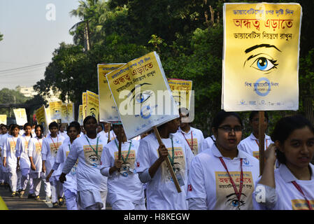 Dacca in Bangladesh. Xiv Nov, 2016. Pazienti diabetici Assosiation del Bangladesh ha organizzato una manifestazione per celebrare la Giornata mondiale del diabete sotto il tema occhi sul diabete a Shahbag a Dhaka, nel Bangladesh. Il 14 novembre 2016 Credit: Mamunur Rashid/Alamy Live News Foto Stock