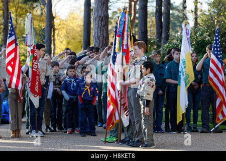 Veterani giorno 2016 a Brookwood Cimitero Americano - Boy Scouts salutando i colori Foto Stock