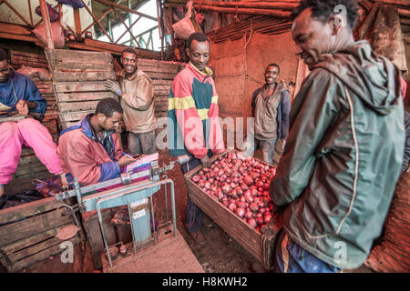 Addis Abeba, Etiopia- cipolle in vendita a Addis Mercato, il più grande mercato all'aperto in Africa. Foto Stock