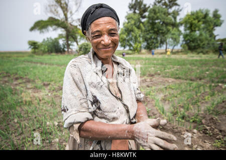 Meki Batu, Etiopia - i lavoratori di sesso femminile sarchiatura di campi di cipolla presso i coltivatori di frutta e vegetali cooperativa in Meki Batu. Foto Stock