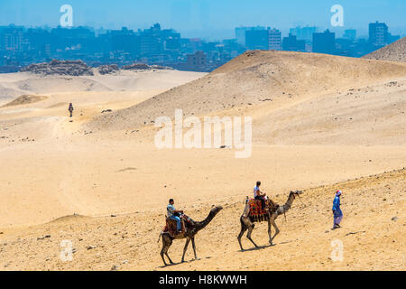 Cairo, Egitto driver del cammello e turisti a cavallo di cammelli a piedi attraverso il deserto con la città del Cairo in background. Foto Stock