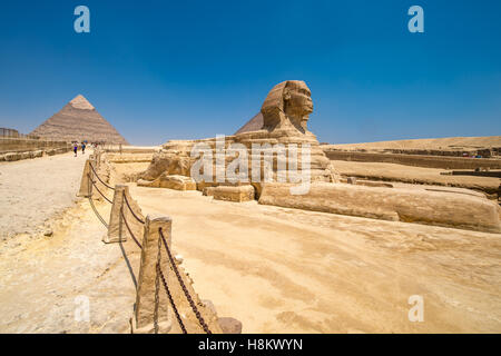 Il Cairo, Egitto la Grande Sfinge di Giza indipendente alto con le grandi piramidi di Giza in background. Questo particolare è Th Foto Stock