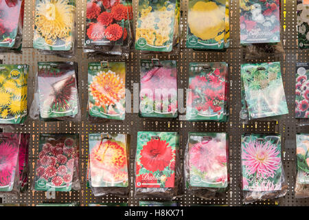 Amsterdam, Paesi Bassi grandi array di diverso colore semi di fiori in vendita in un mercato all'aperto. Foto Stock