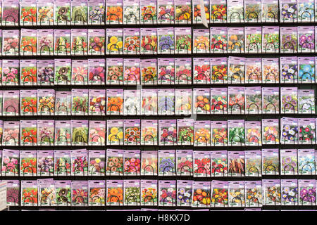 Amsterdam, Paesi Bassi grandi array di diverso colore semi di fiori in vendita in un mercato all'aperto. Foto Stock