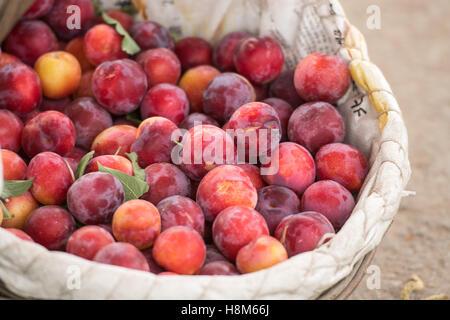 Pechino, Cina - un cestello di appena raccolto mele pronti per la vendita in una fattoria vicino a Pechino, in Cina. Foto Stock