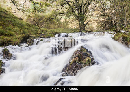 Gairland bruciare vicino al Loch Trool. La zona è parte del Galloway Forest Park, Scozia. Foto Stock