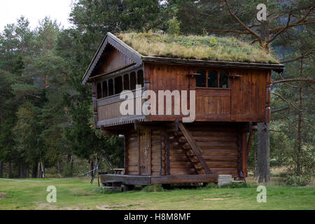 Erba-tettoie, vecchio deposito di cibo casa a valle nel Setesdal, Norvegia Foto Stock
