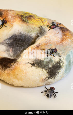 Muffa su cibo Foto Stock