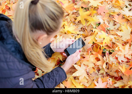 Giovane donna posa su foglie colorate con un telefono cellulare Foto Stock