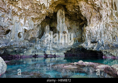 Grotte di calcare, Avaiki, Nuie, South Pacific Oceania Foto Stock