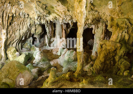 Grotte di calcare, Avaiki, Nuie, South Pacific Oceania Foto Stock