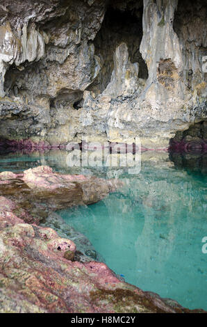 Grotte di calcare, Avaiki, Nuie, South Pacific Oceania Foto Stock