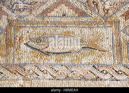 Il frammento di un Mosaico Antico in Kourion, Cipro Foto Stock