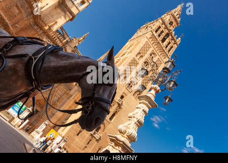 Carrozza a cavallo nei pressi di Torre Giralda, Siviglia, Spagna. Foto Stock