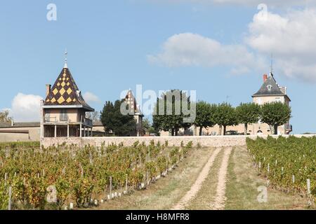 Chateau Portier con vigneti di Beaujolais, Francia Foto Stock