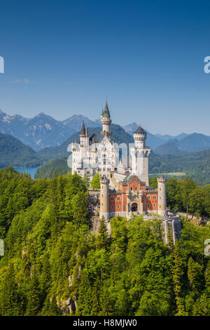 Visualizzazione classica del famoso castello di Neuschwanstein, uno d'Europa più visitato castelli, in estate, Baviera, Germania Foto Stock