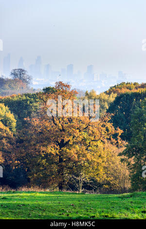 I colori autunnali e foschia sopra la città di Londra, da Highgate, London, Regno Unito Foto Stock