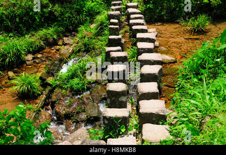 Una pietra percorso passo passo attraverso un piccolo ruscello chiaro in Wuyishan o il monte Wuyi scenic area in Wuyi Cina nella provincia del Fujian. Foto Stock