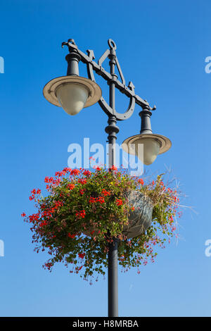 Via la luce con fiori sul cielo blu sullo sfondo Foto Stock